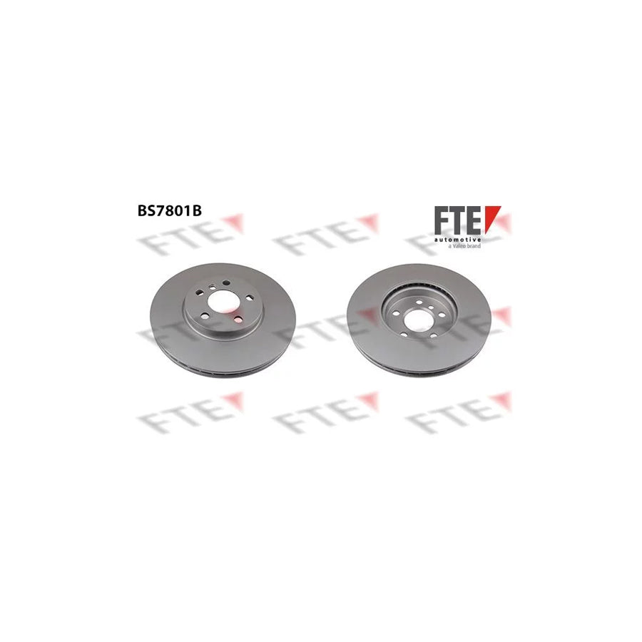 FTE Bs7801B Brake Disc