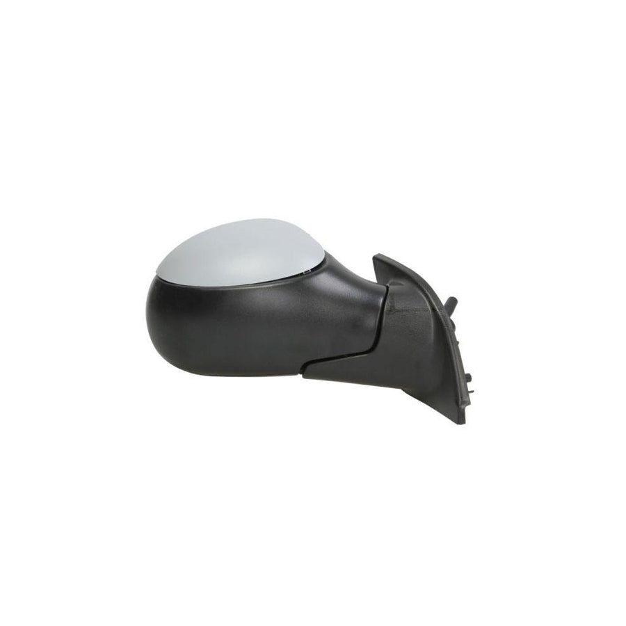 Blic 5402-04-1138851 Wing Mirror for Citroen C3 I Hatchback (Fc, Fn)