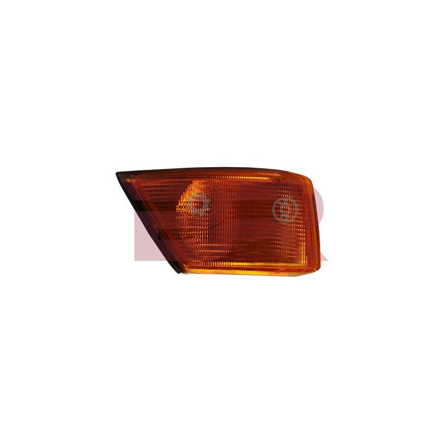 Botto Ricambi Brel0425 Side Indicator for Iveco Daily