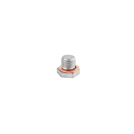 Genuine BMW 11137553918 E92 E87 E93 Screw Plug M12X1,5 (Inc. Alpina B7, Z4 30i & X5 50iX)