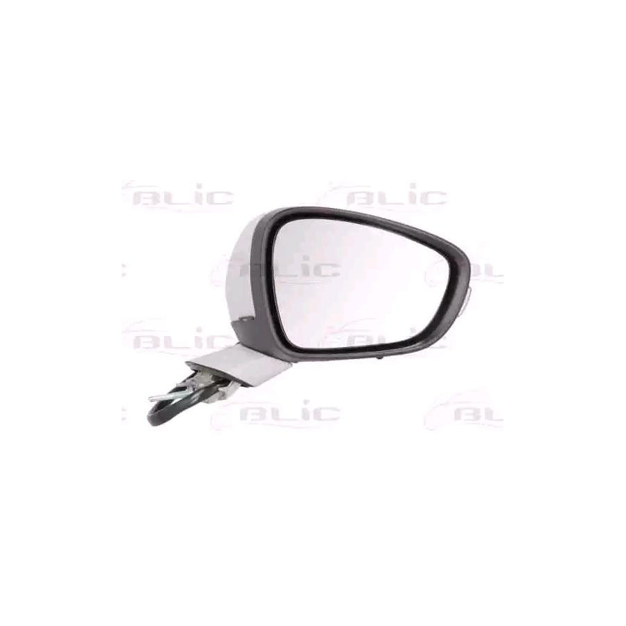 Blic 5402-08-2002092P Wing Mirror for Peugeot 508