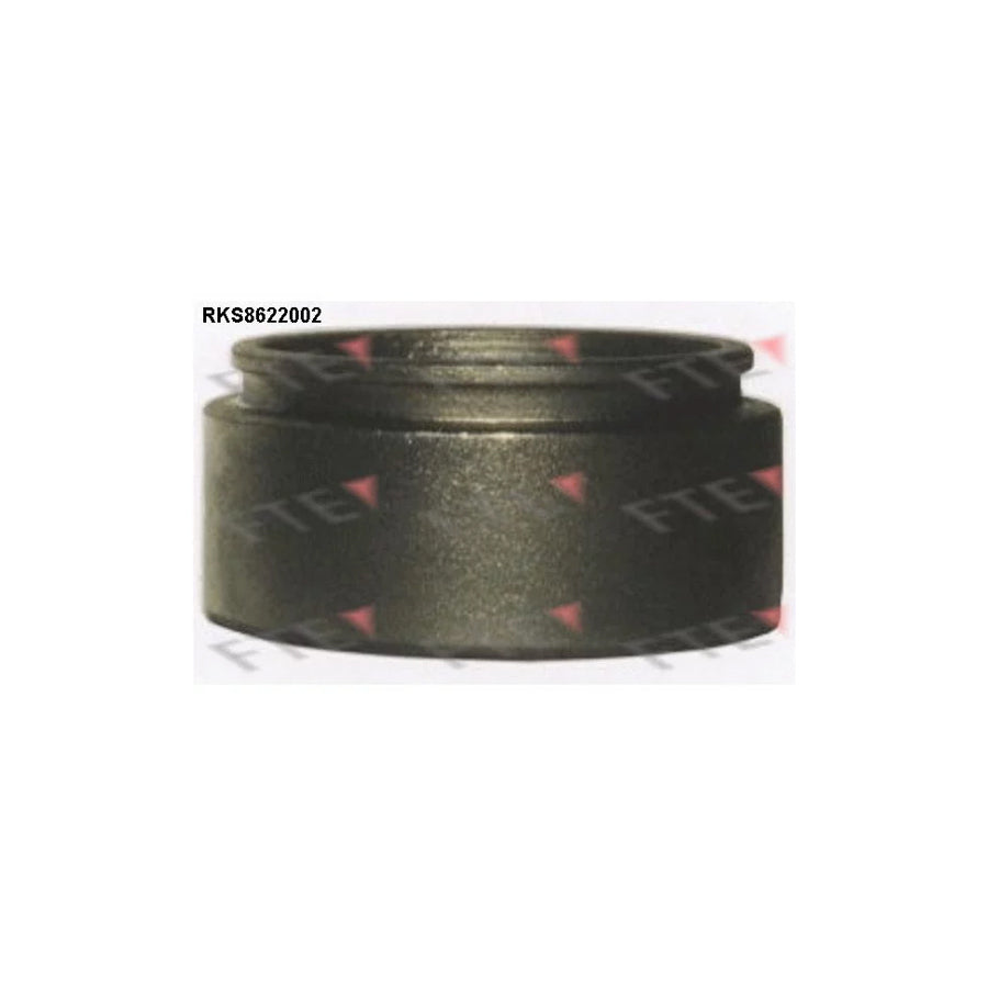 FTE Rks8622002 Piston, Brake Caliper