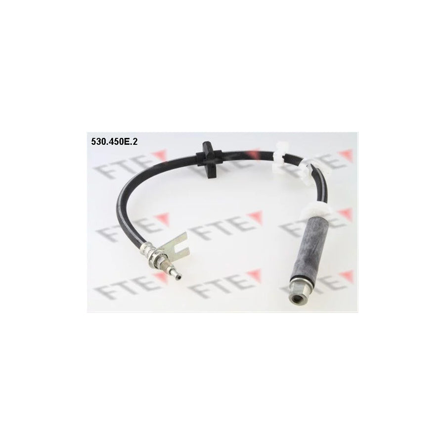 FTE 530.450E.2 Brake Hose for Peugeot 406