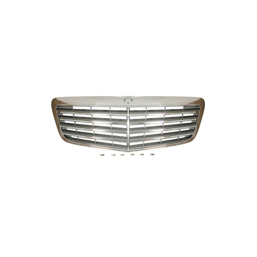 Blic 6010-30-001401P Door Handle for Iveco Daily