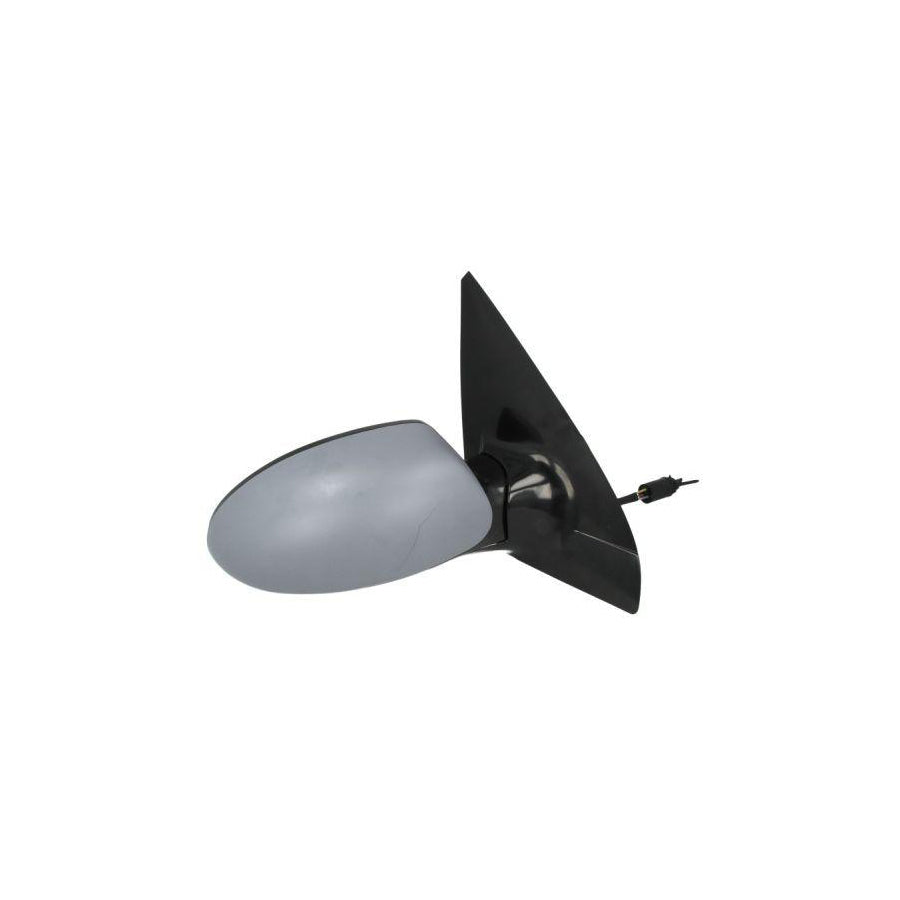 Blic 5402-04-1138399P Wing Mirror for Ford Focus