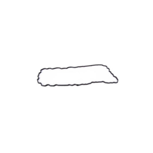Genuine BMW 11137627512 F21 F22 F20 Profile-Gasket (Inc. 125i, X1 28i & Z4 28i)