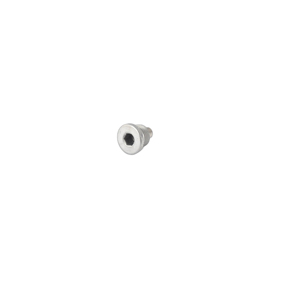 Genuine BMW 11137720999 Screw Plug, Magnetic M16X1,5-ZNNIV (Inc. i3s 120Ah, i3s 94Ah & Cooper SE)