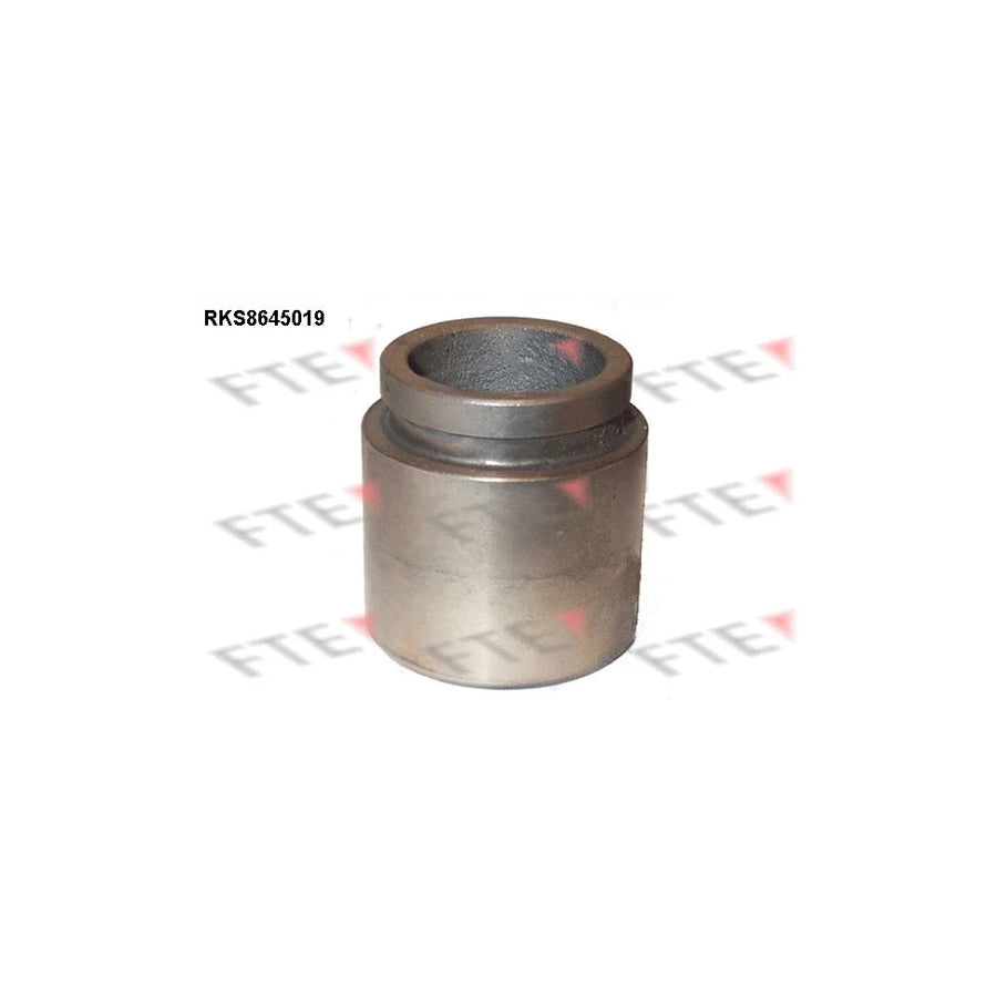 FTE 9313394 Piston, Brake Caliper