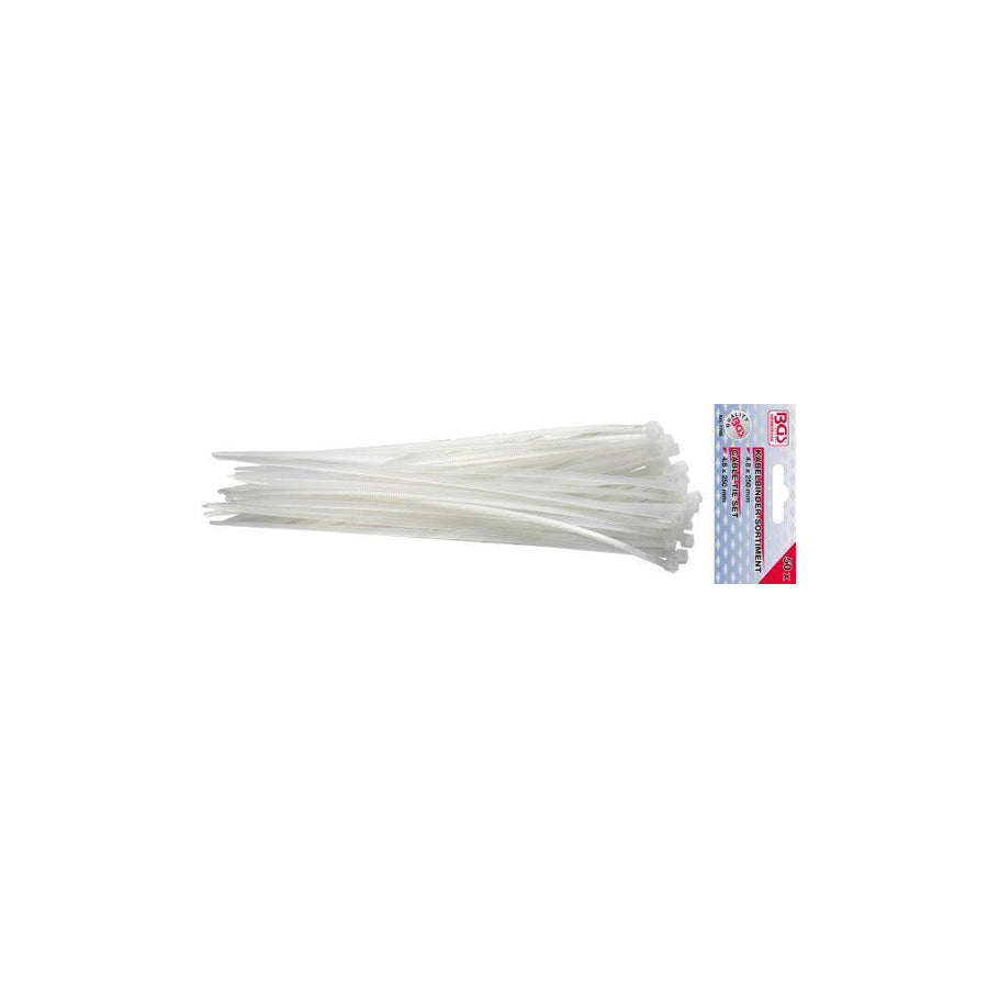 BGS 1788 Assortment, Cable Ties