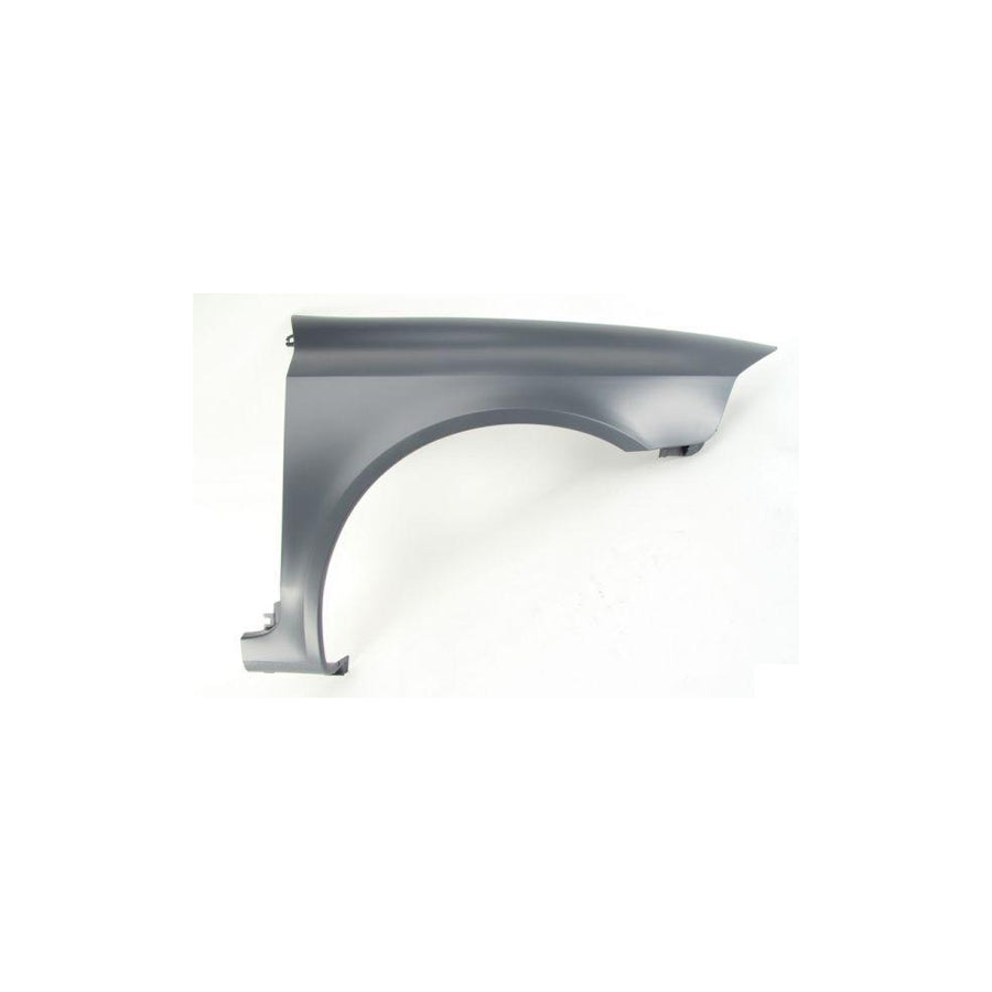 Blic 6504-04-6055314P Wing Fender for Renault Laguna
