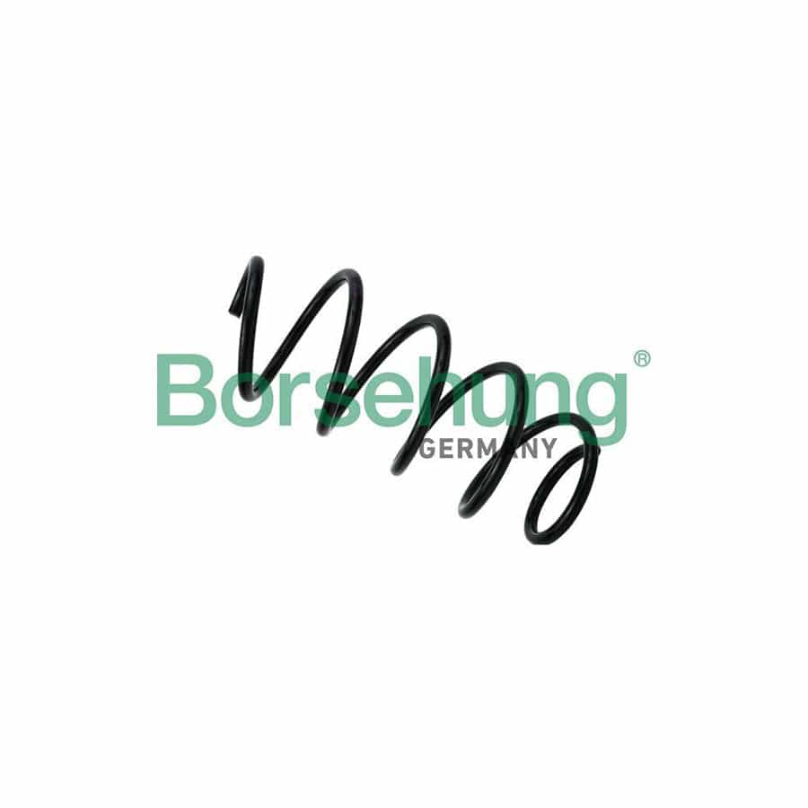 Borsehung B12620 Coil Spring