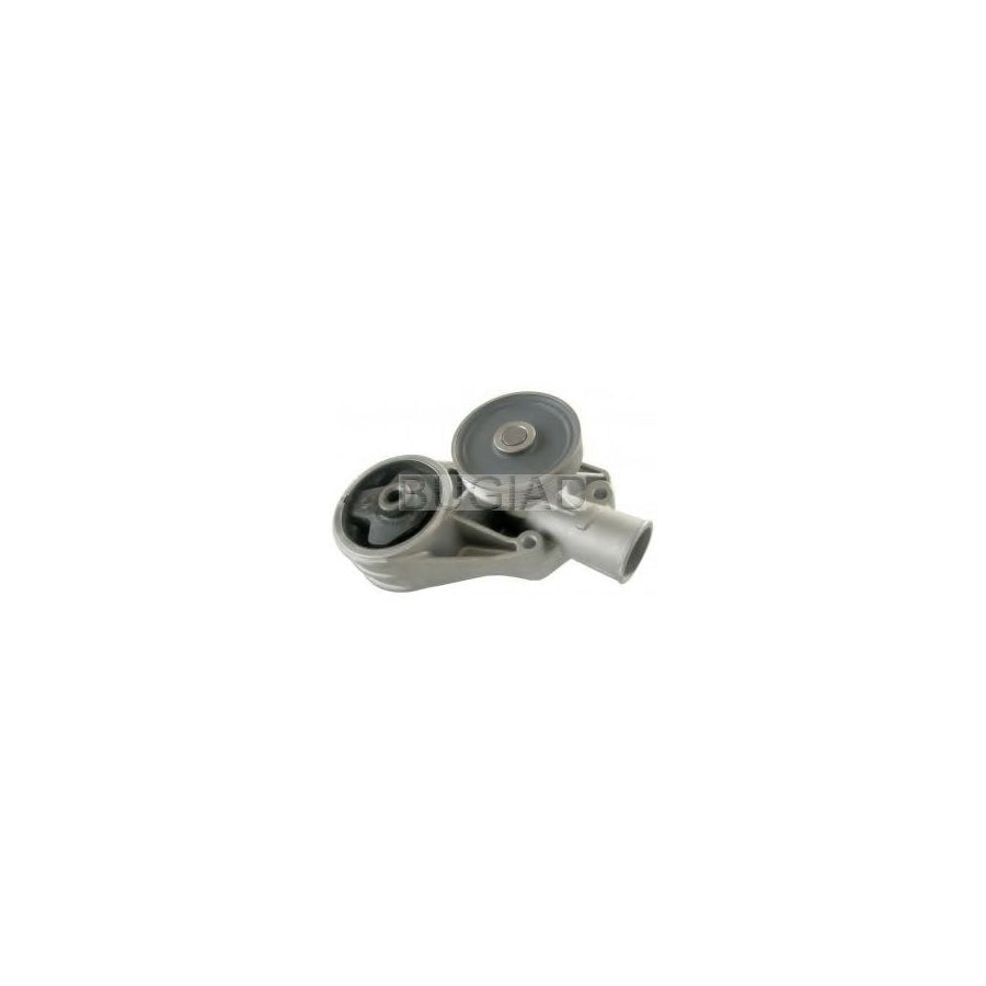 BUGIAD Bsp22163 Water Pump for Skoda Favorit