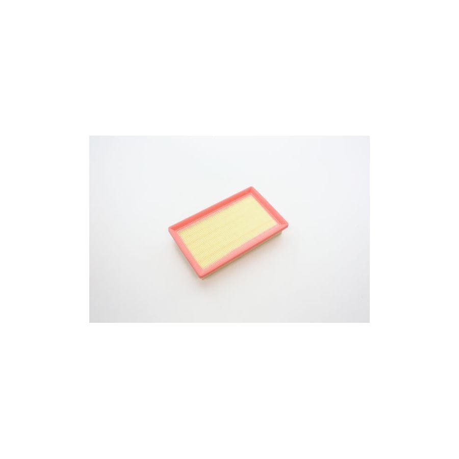 Automega 180066910 Air Filter