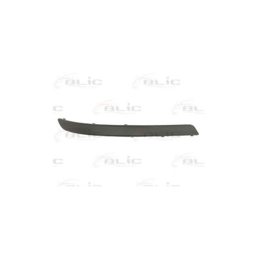 Blic 5703-05-5023922P Bumper Moulding