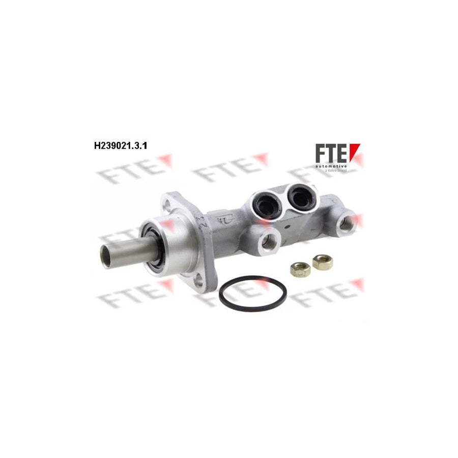 FTE H239021.3.1 Brake Master Cylinder for Peugeot 406