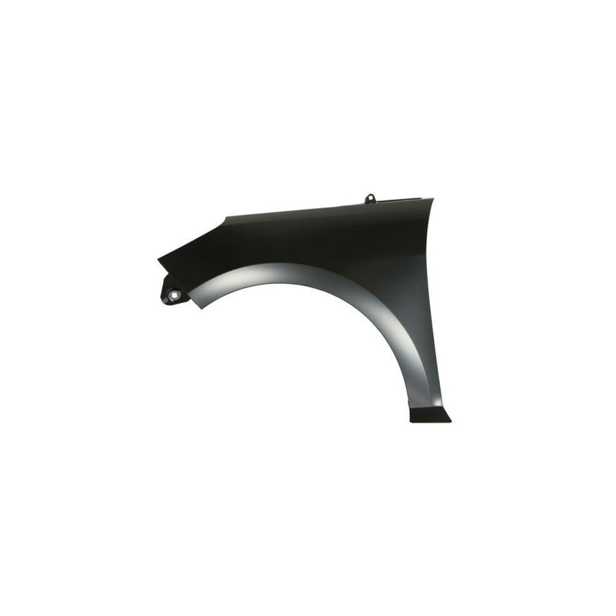 Blic 6504-04-2566311Q Wing Fender for Ford Fiesta Mk7 Hatchback