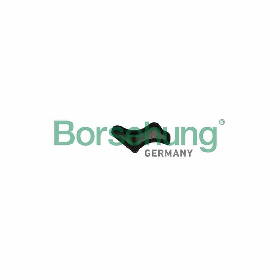 Borsehung B19179 Strainer, Oil Pump Suction Pipe