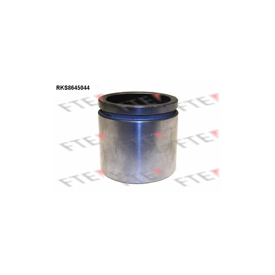 FTE 9313415 Piston, Brake Caliper
