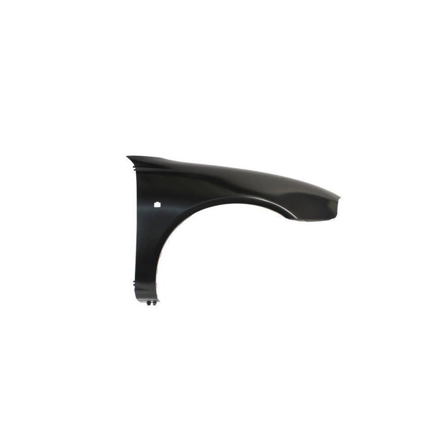 Blic 6504-04-6435312P Wing Fender for Rover 25 Hatchback (Rf)