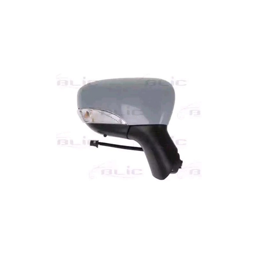 Blic 5402-09-2002108P Wing Mirror for Renault Captur (J5_, H5_)