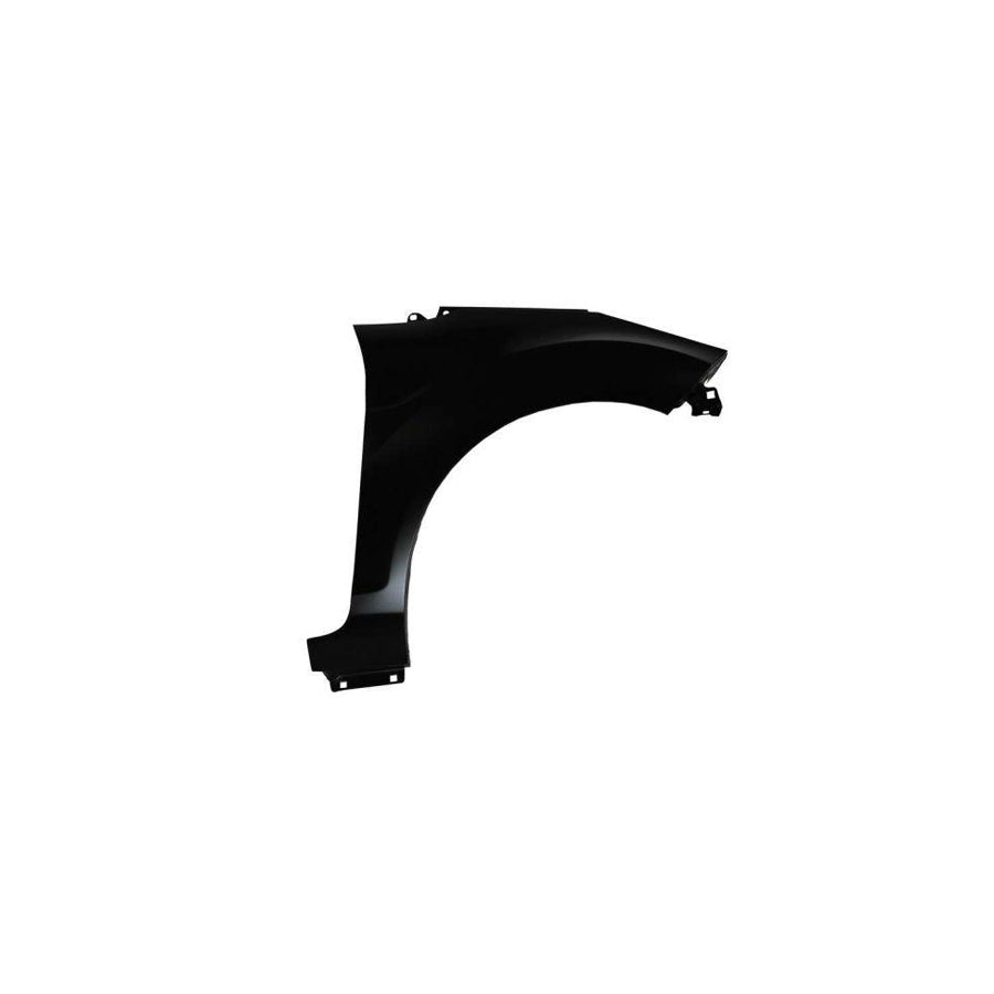 Blic 6504-04-2565312P Wing Fender for Ford Fiesta