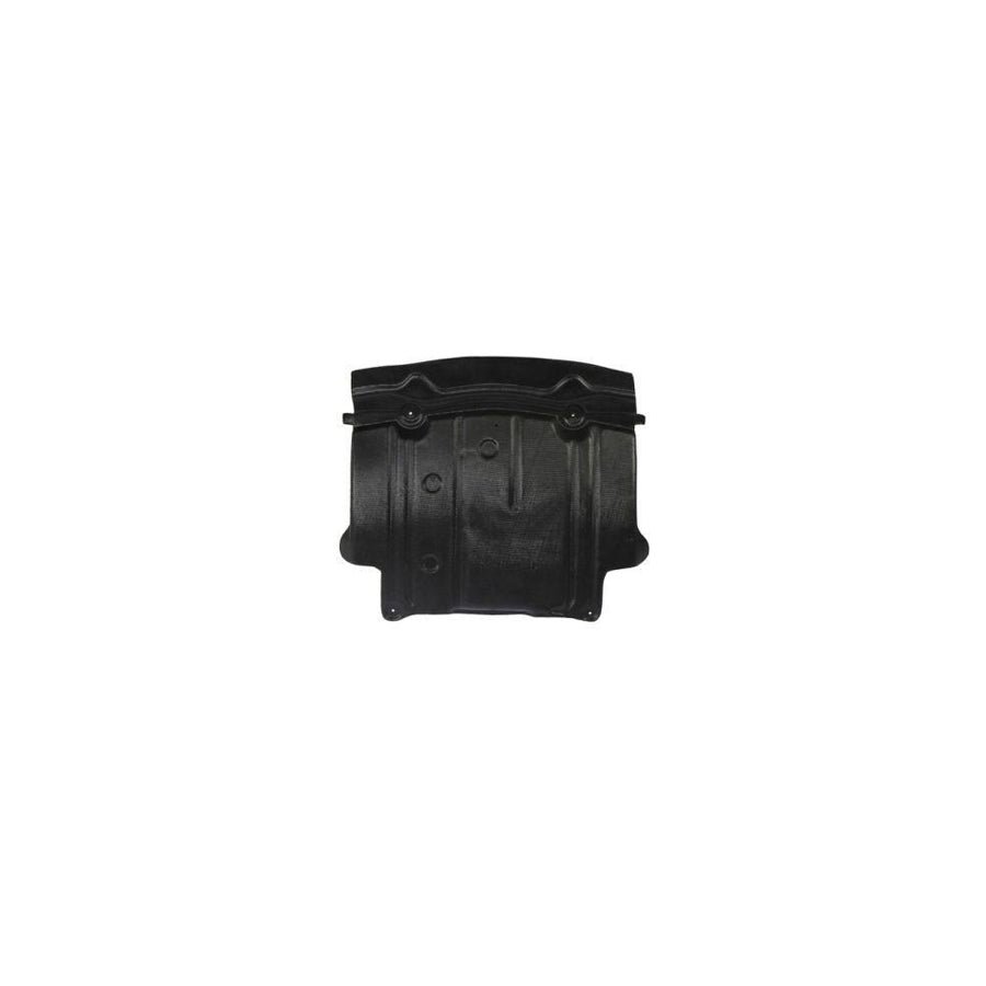 Blic 6601-02-3511861P Engine Cover Suitable for Mercedes-Benz 190 (W201)