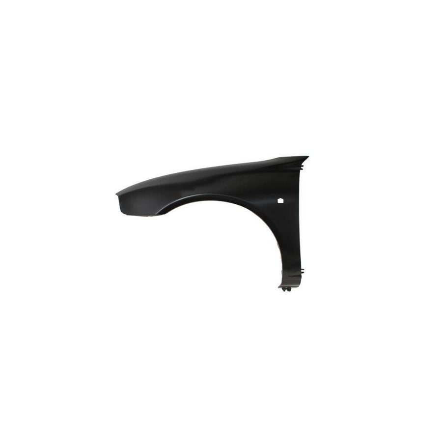 Blic 6504-04-6435311P Wing Fender for Rover 25 Hatchback (Rf)