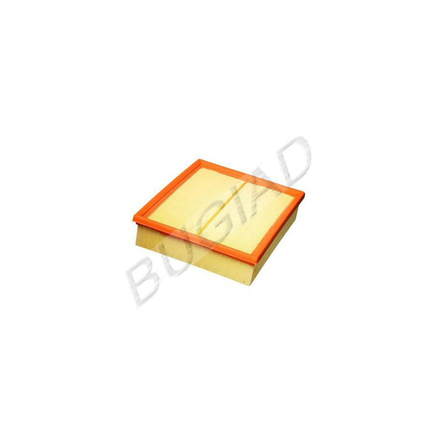 BUGIAD Bsp20649 Air Filter