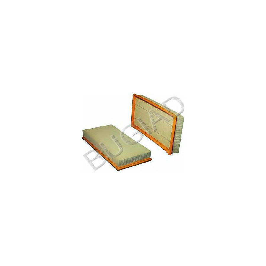 BUGIAD Bsp20648 Air Filter