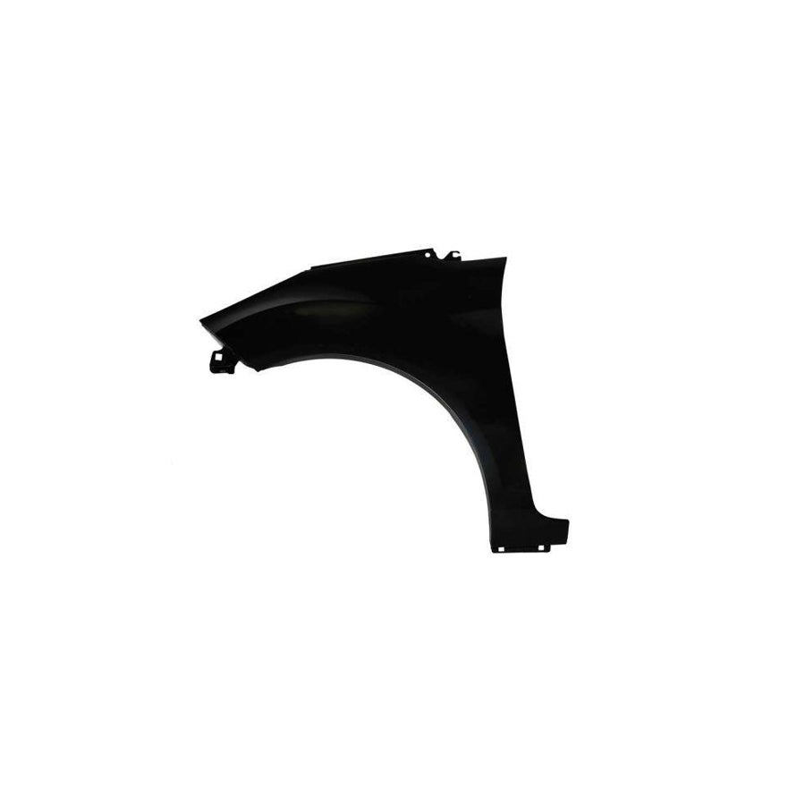 Blic 6504-04-2565311Q Wing Fender for Ford Fiesta
