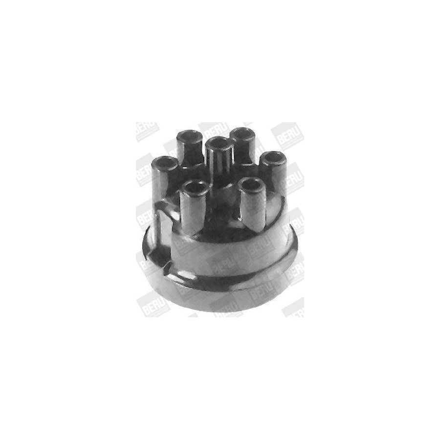 Beru Vk279 Distributor Cap