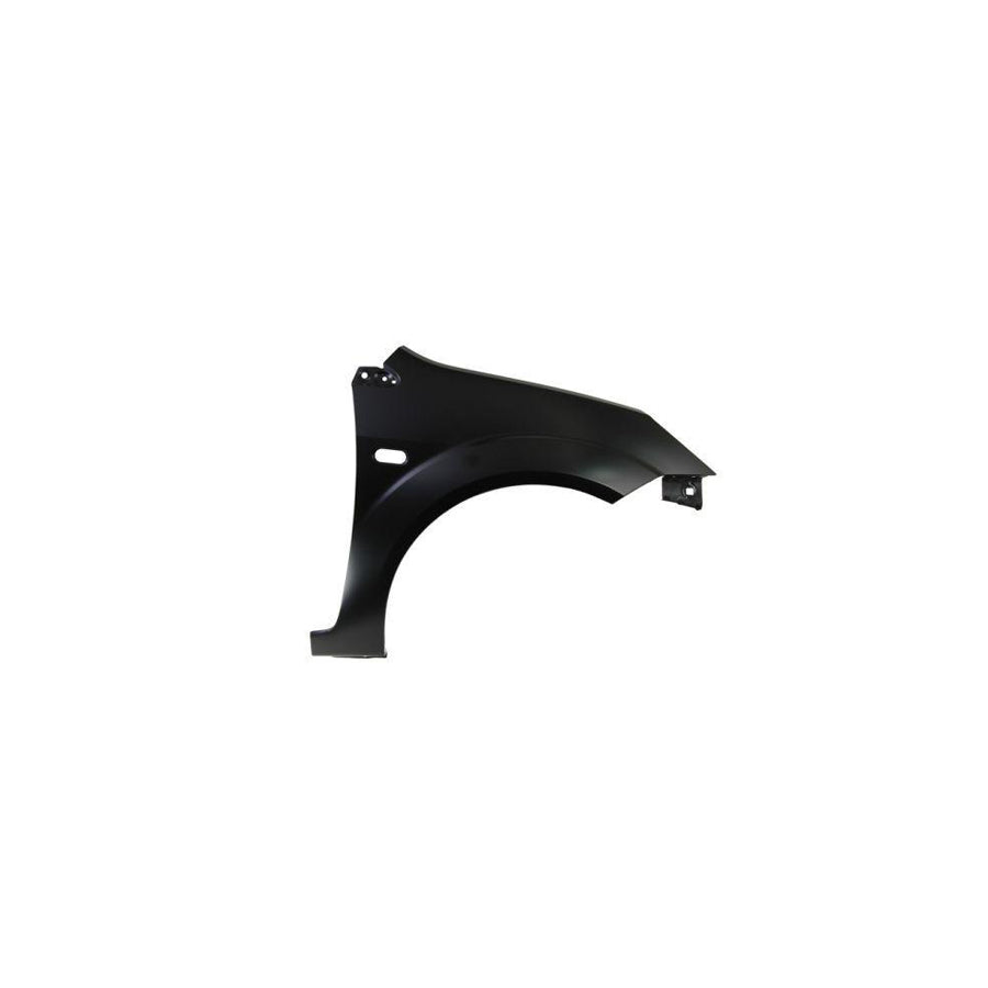 Blic 6504-04-2564312Q Wing Fender for Ford Fiesta