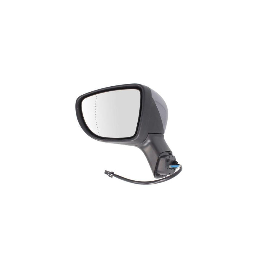 Blic 5402-09-2002103P Wing Mirror for Renault Captur (J5_, H5_)
