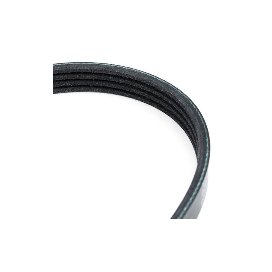 Blue Print Ad04R805 V-Ribbed Belt