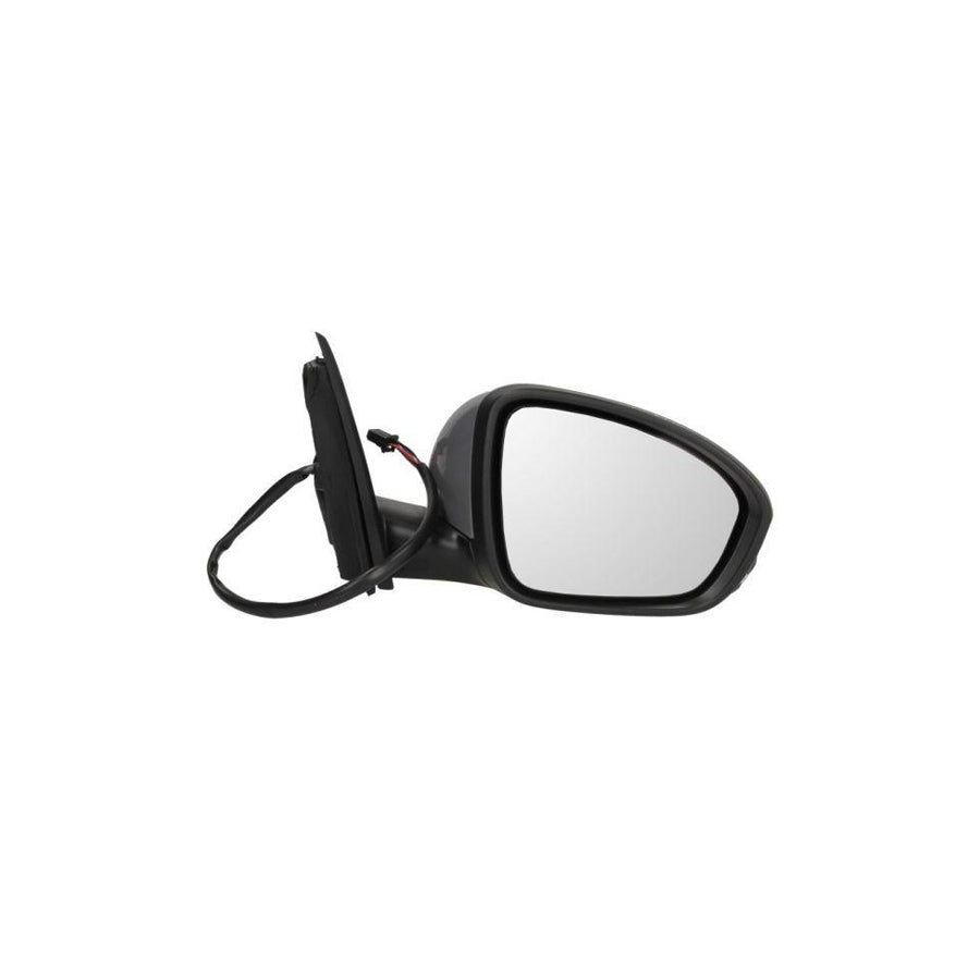 Blic 5402-09-1231362P Wing Mirror for Renault Megane