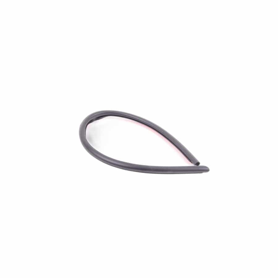 Genuine BMW 51228223764 E65 E67 E66 Gasket, Door Joint, C Column, Right (Inc. 750Li, 740d & ALPINA B7)