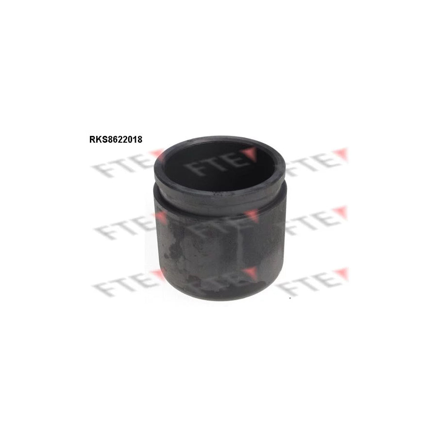 FTE Rks8622018 Piston, Brake Caliper for Nissan Sunny