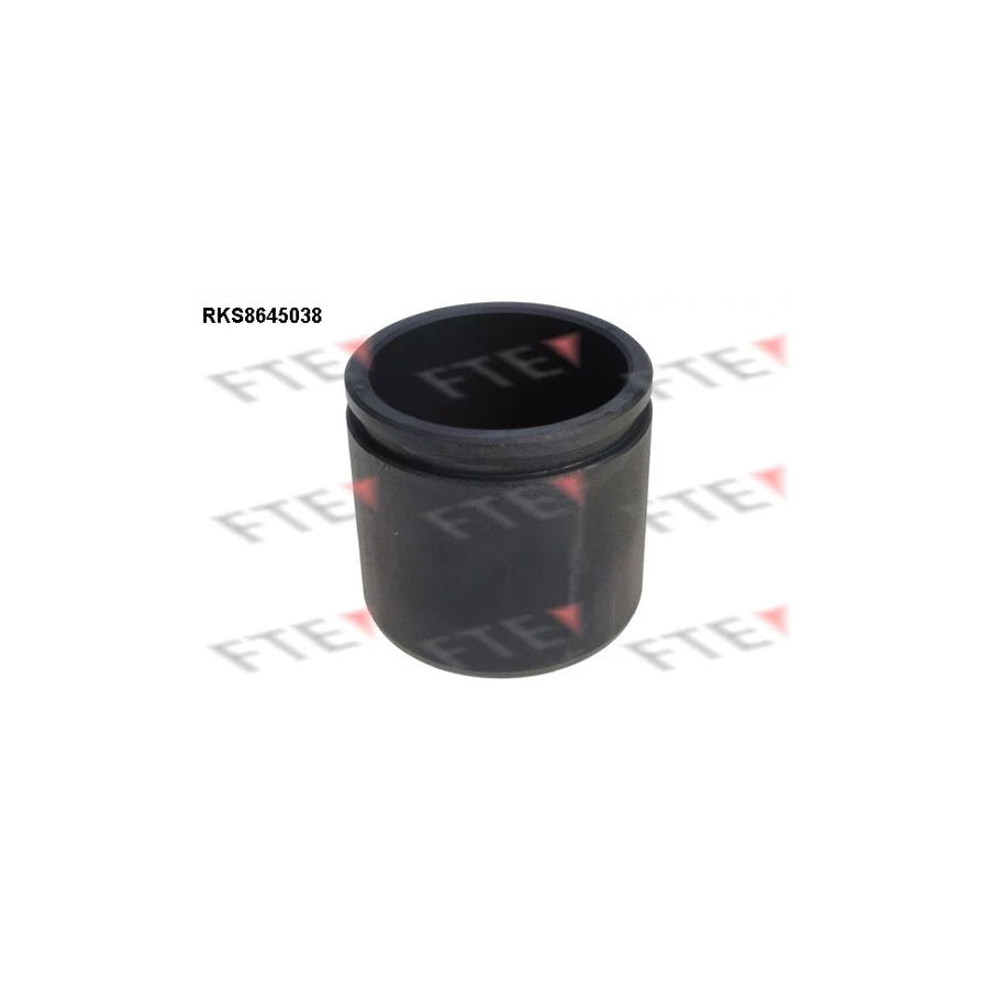FTE 9313411 Piston, Brake Caliper