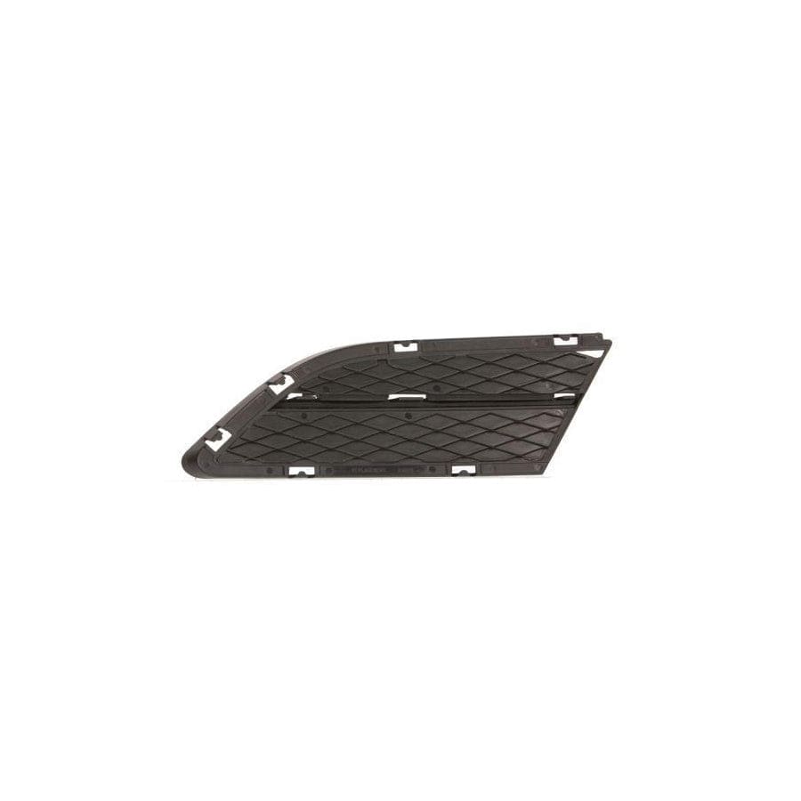 Blic 6502-07-0062996Pp Bumper Grill for BMW 3 Series