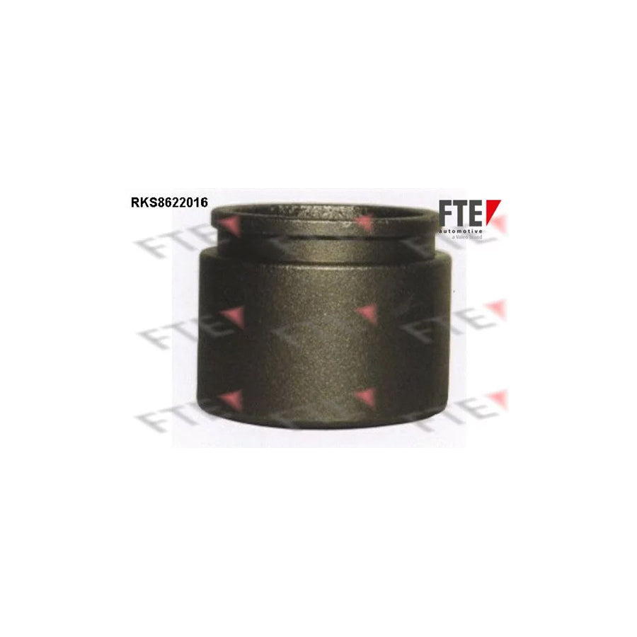 FTE Rks8622016 Piston, Brake Caliper