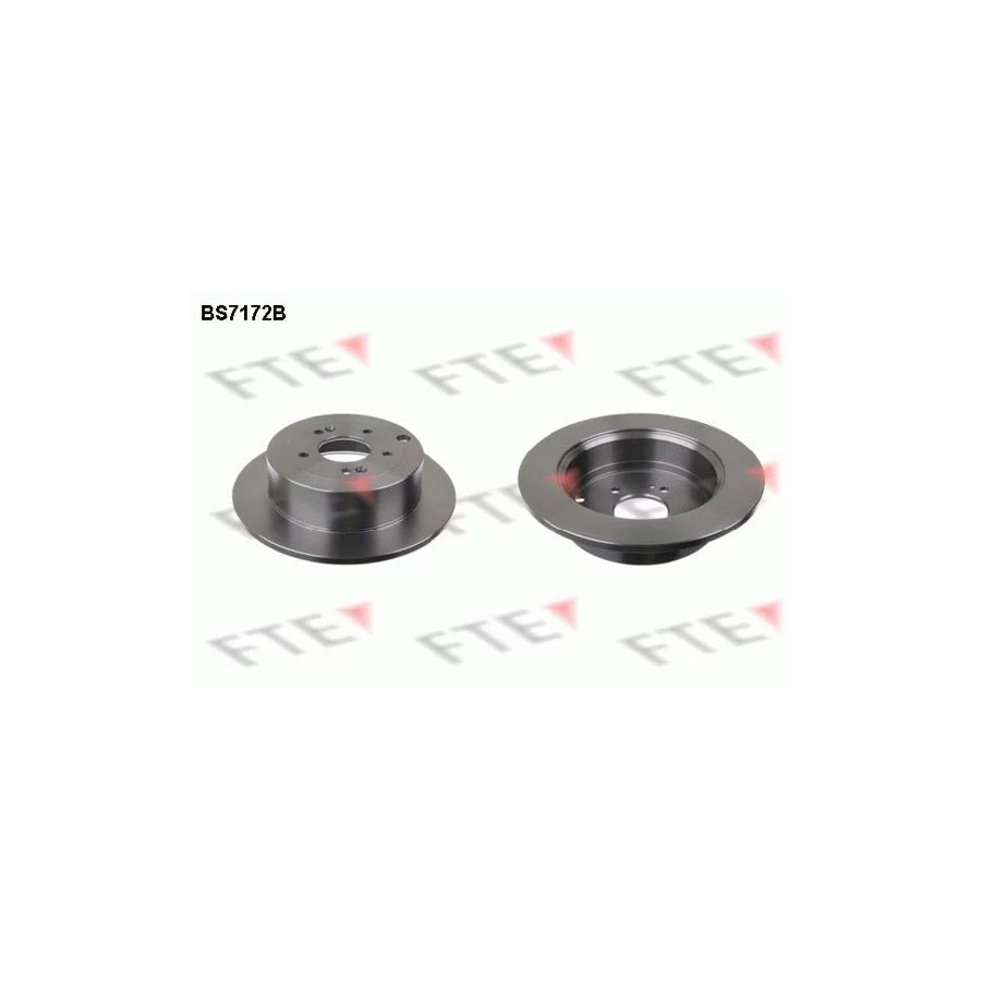 FTE 9082264 Brake Disc for Hyundai Santa Fe II (CM)