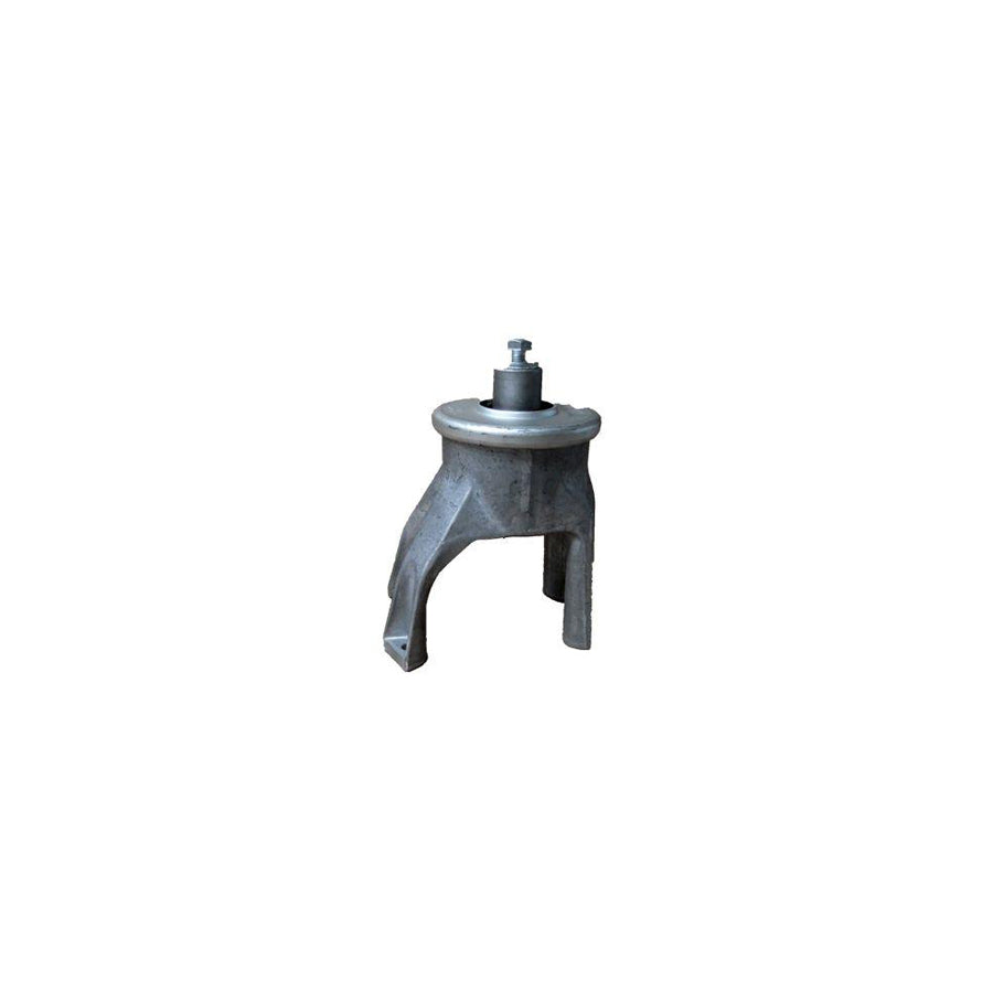 BUGIAD Bsp24247 Engine Mount