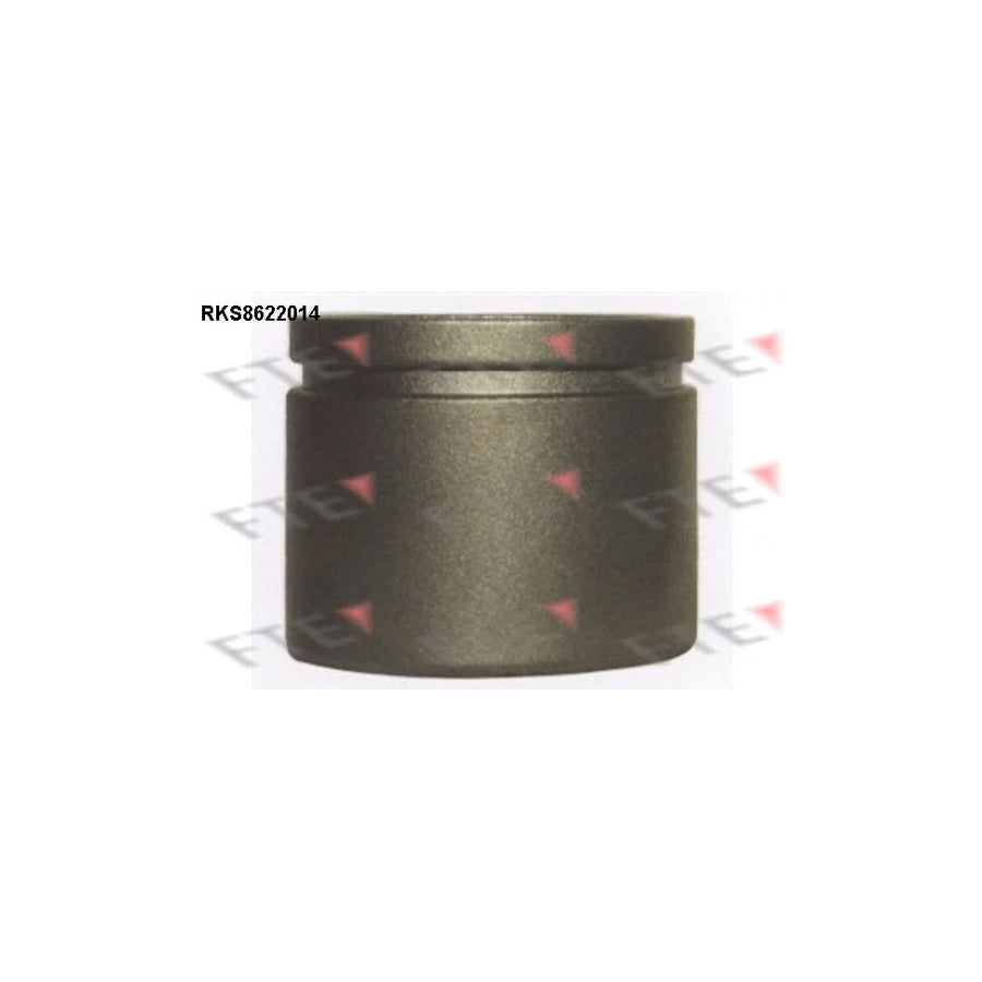 FTE Rks8622014 Piston, Brake Caliper for Nissan Primera
