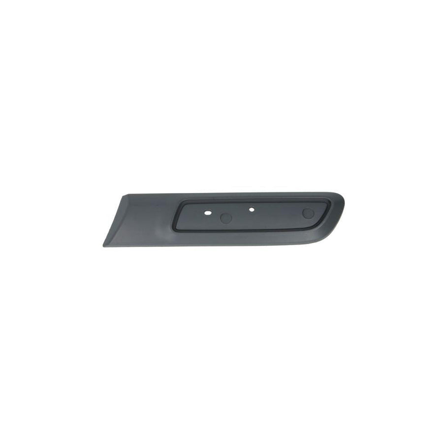 Blic 5703-04-2013477P Trim / Protective Strip, Mudguard