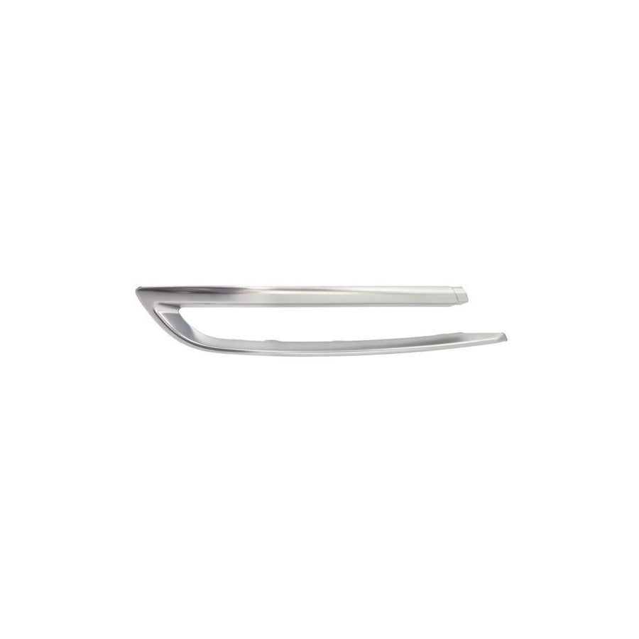 Blic 5513-00-0067971Pf Bumper Moulding for BMW 5 Series