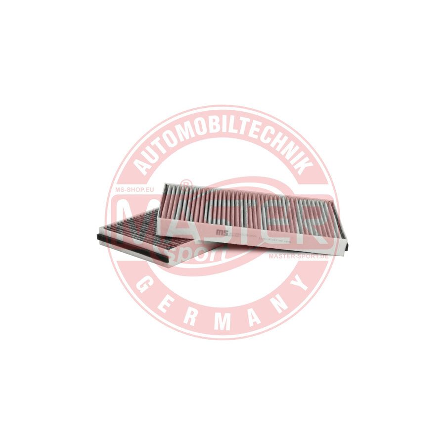 Master Sport 3139-2-IF-SET-MS Pollen Filter