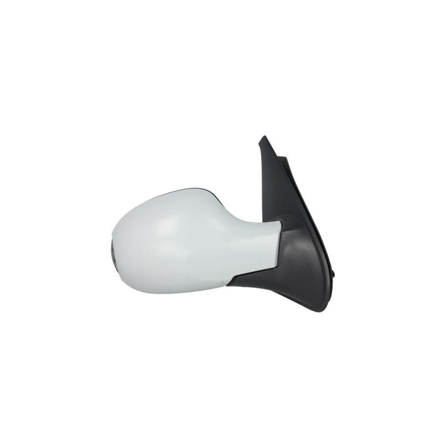 Blic 5402-09-064362P Wing Mirror for Renault Symbol / Thalia II