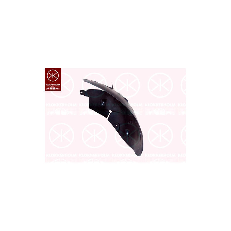 Klokkerholm 6007387 Panelling, Mudguard for RENAULT Modus / Grand Modus (F, JP)