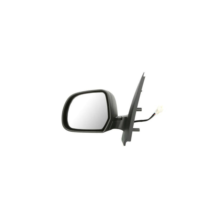 Blic 5402-67-004365P Wing Mirror