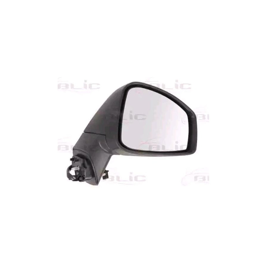 Blic 5402-09-2002154P Wing Mirror